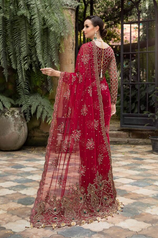 Red Pakistani Wedding Dress in Net Bridal Saree Style