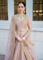 Bridal Lehenga for Destination Weddings with Pishwas
