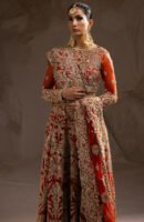 Red Bridal Lehenga and Choli Pakistani Wedding Dress