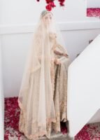 Traditional Pishwas and Affordable Bridal Lehenga Online