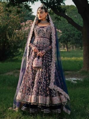 Luxurious Pakistani Bridal Outfit in Pishwas Style