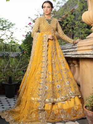 Pakistani Bridal Lehenga and Net Angrakha Frock Dress