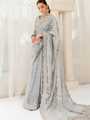 Pakistani Bridal Dress in Royal Saree Style for Wedding