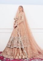 Pakistani Gown and Bridal Lehenga with Heavy Embroidery
