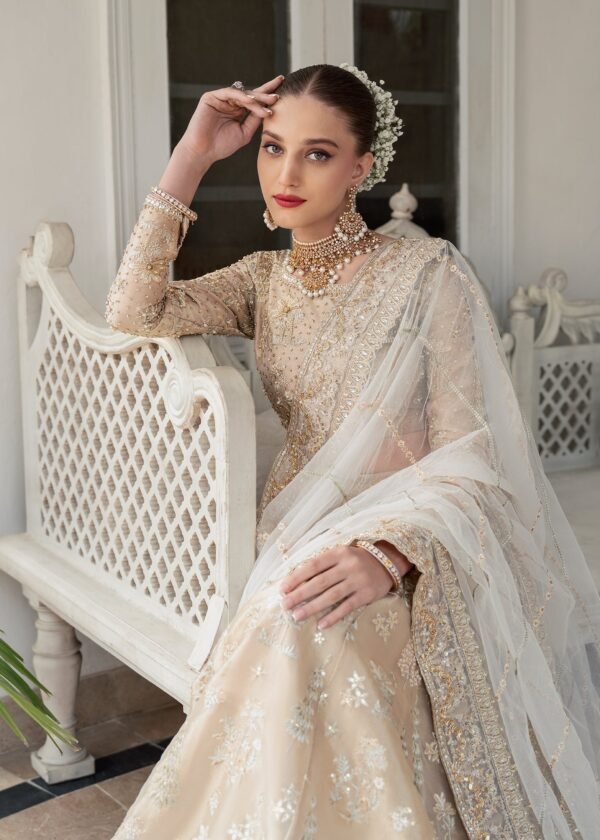 Pakistani Choli and Bridal Lehenga with Intricate Work