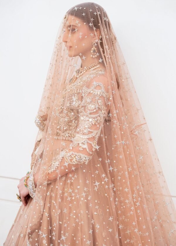 Pakistani Gown and Bridal Lehenga with Heavy Embroidery