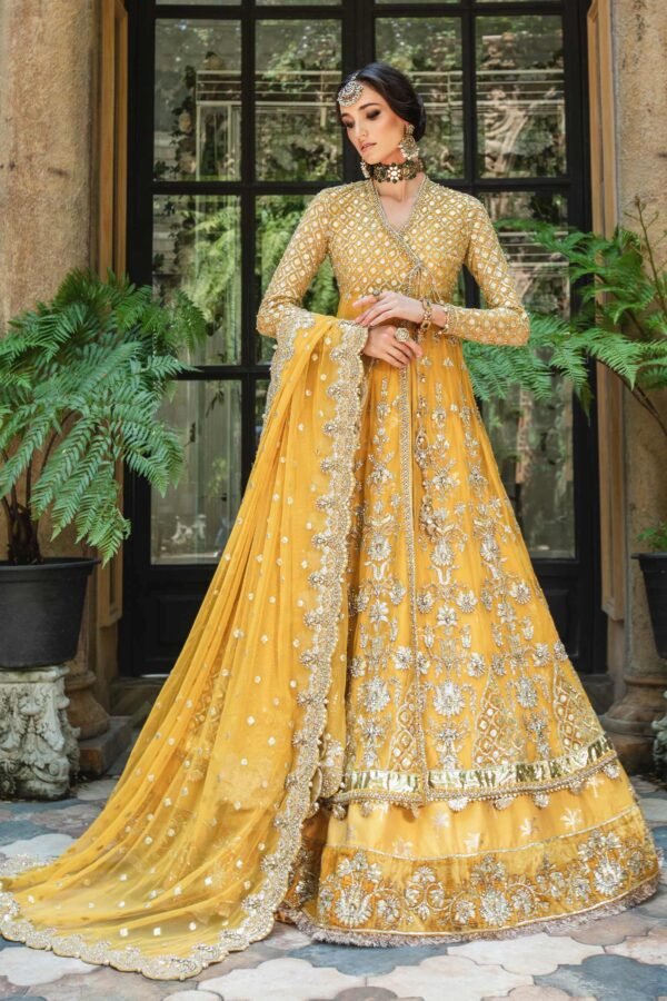 Pakistani Bridal Lehenga and Net Angrakha Frock Dress
